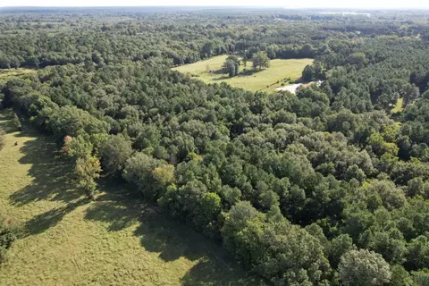 tbd County Road 168-1, Long Branch, TX 75669