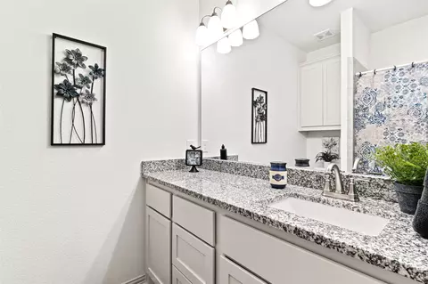 Bath - 110 Panther Loop, Mabank, TX 75147 photo 4 of 4