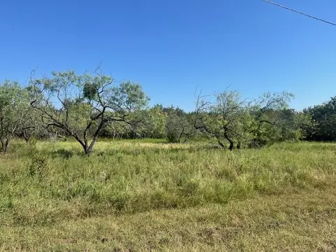 6007 Wildwood Dr, Whitney, TX 76692