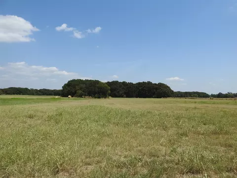 tbd County Road 2235, Ivanhoe, TX 75447