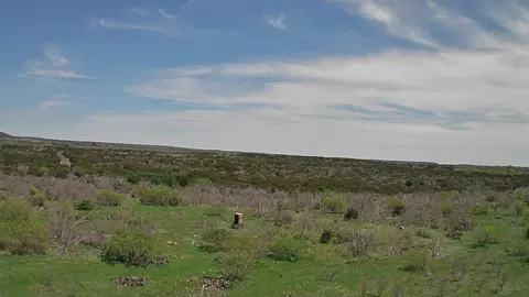 325 Big Country Trl, Strawn, TX 76475