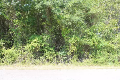 0 Sierra Dr, Minden, LA 71055 photo 4