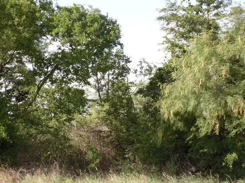 tbd State Hwy 171 Hwy, Coolidge, TX 76635