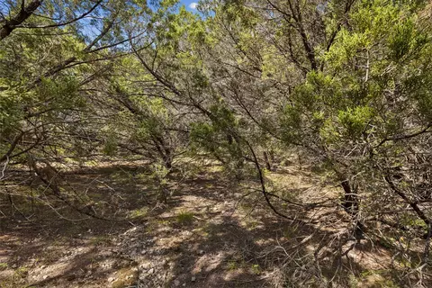 1000 Cedar Break Ct, Cleburne, TX 76033 photo 5