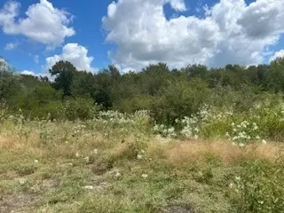 tbd Bonham-rice Rd, Rice, TX 75155