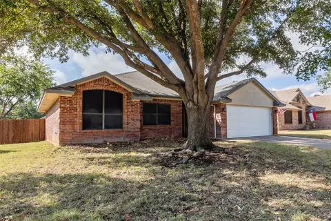 1507 Sunflower Ln, Granbury, TX 76048