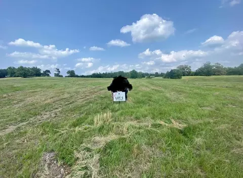 lot Apt 5 Private Rd, Big Sandy, TX 75755