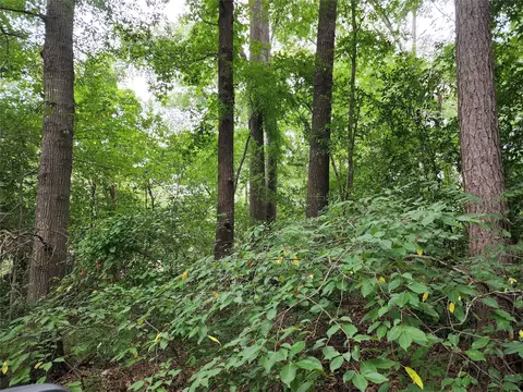 tbd Flournoy St, Quitman, TX 75783