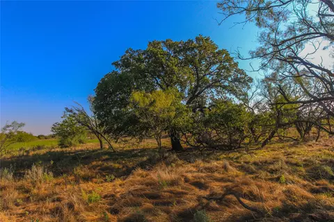 tbd Burwick, Bryson, TX 76427 photo 15