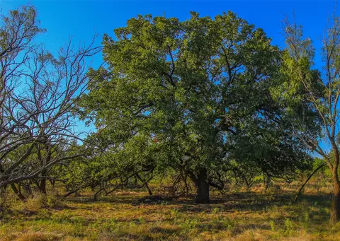 tbd Burwick, Bryson, TX 76427 photo 16
