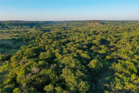 tbd Burwick, Bryson, TX 76427 photo 9