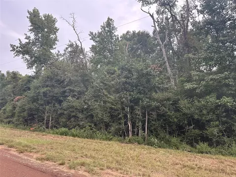 tbd County Road 146, Centerville, TX 75833