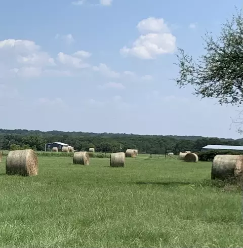 tbd Downs Rd, Covington, TX 76636 photo 10