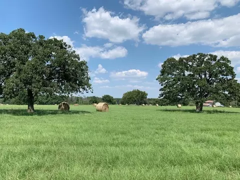 tbd Downs Rd, Covington, TX 76636 photo 9