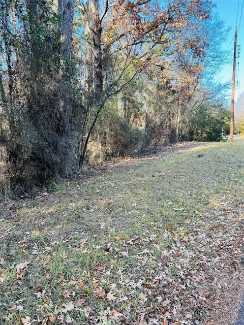 lot31 Winding Ln, Mount Vernon, TX 75457