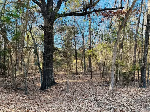 lot32 33 Winding Ln, Mount Vernon, TX 75457