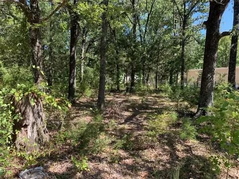 0 Cheyenne Trl, Mabank, TX 75156