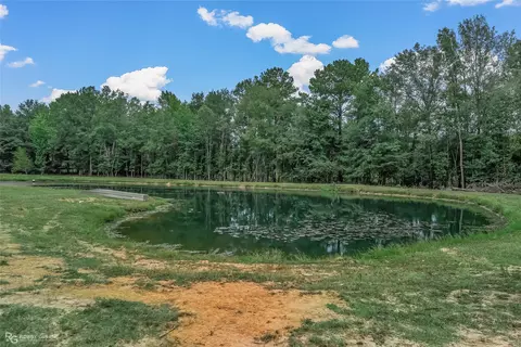 113 Antrim Rd, Plain Dealing, LA 71064 photo 4