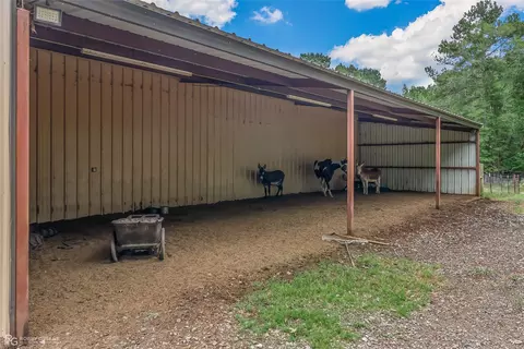 113 Antrim Rd, Plain Dealing, LA 71064 photo 29