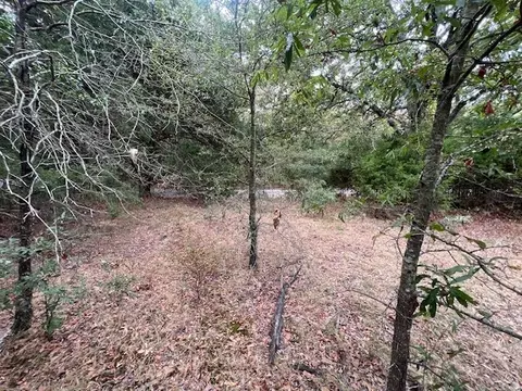 tbd County Rd 2040, Klondike, TX 75448