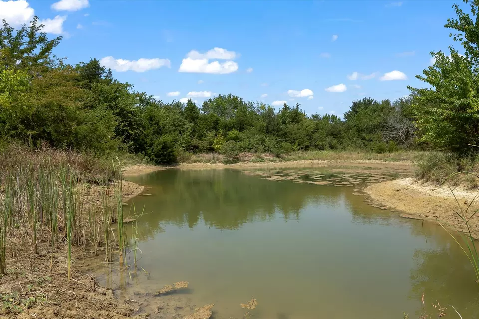  4700 Cr-1040, Celeste, TX 75423 photo 8
