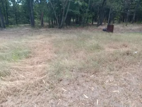 861 Wixom, Dallas, TX 75217