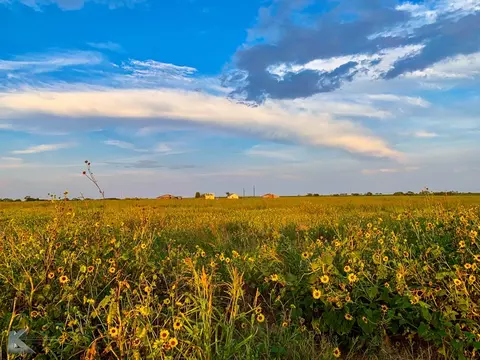 1906 County Road 423, Haskell, TX 79521 photo 13