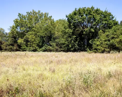Rs County Road 3150, Emory, TX 75440