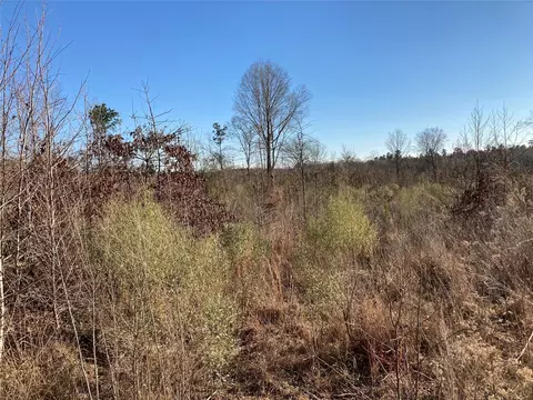 240 Martin Rd, Plain Dealing, LA 71064 photo 3