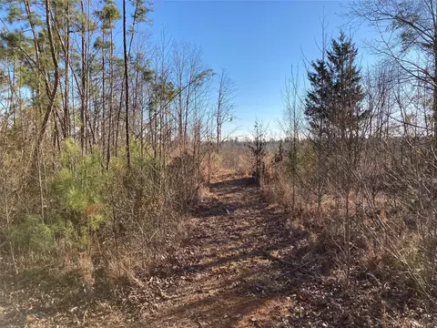 240 Martin Rd, Plain Dealing, LA 71064 photo 4