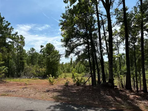 240 Martin Rd, Plain Dealing, LA 71064 photo 6