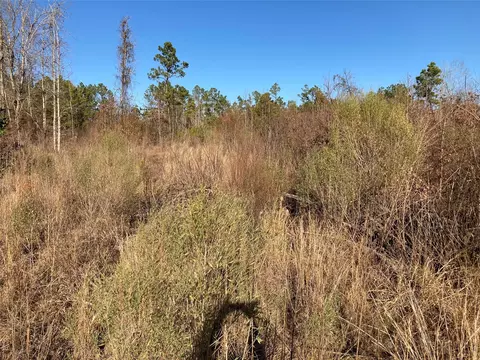 240 Martin Rd, Plain Dealing, LA 71064 photo 2