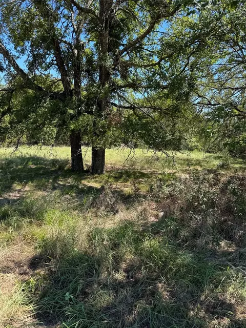 3057 Barkridge Ct E, Whitney, TX 76692