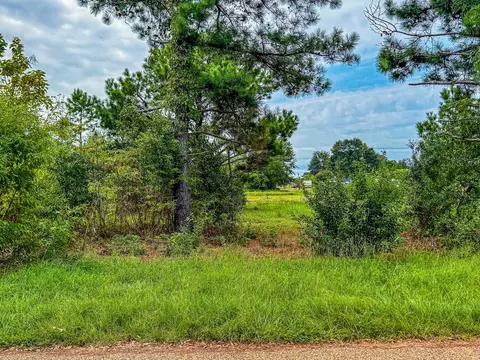 lot82 Circle Dr, Chandler, TX 75758