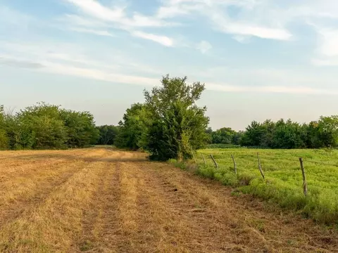 tbd County Road 3660 County Road 3660, Ladonia, TX 75449