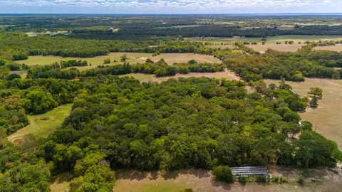 2095 Rs County Road 4525, Point, TX 75472 photo 9