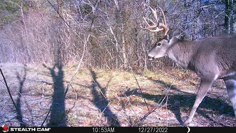2095 Rs County Road 4525, Point, TX 75472 photo 36