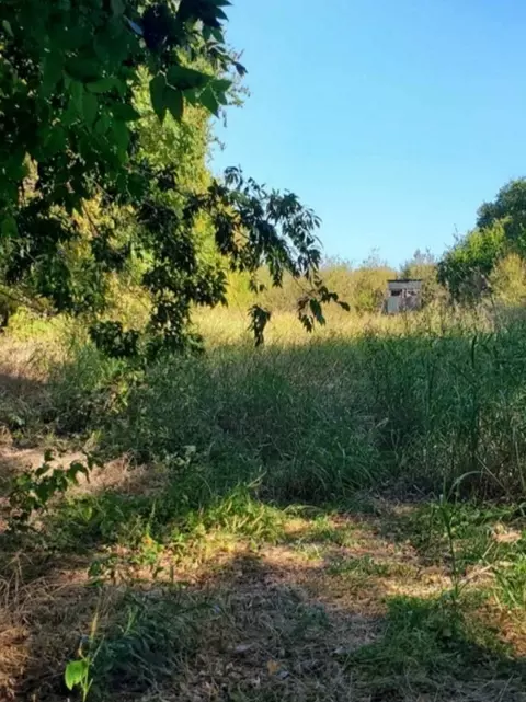 9637 E Fork Cir, Anna, TX 75409 photo 7