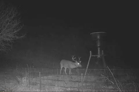 9637 E Fork Cir, Anna, TX 75409 photo 14