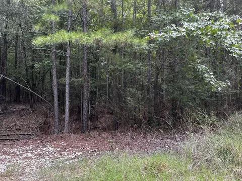 0 Cordova Rd, Grand Cane, LA 71032