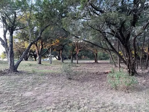 tbd County Road 1617, Clifton, TX 76634