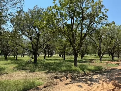 3101 E Landings South Dr, Granbury, TX 76049