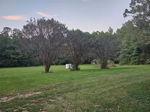 300 Wallace, Plain Dealing, LA 71064 photo 25