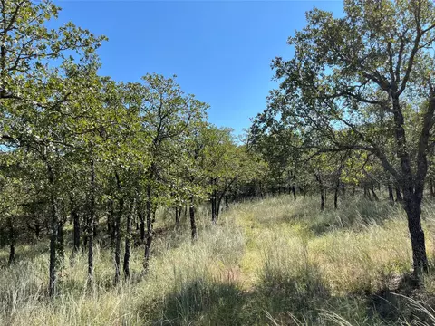 lot431 Bluffs Ave, Bowie, TX 76230