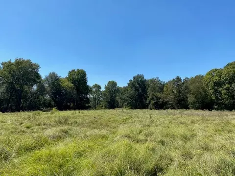8170 Cr 3823, Murchison, TX 75778