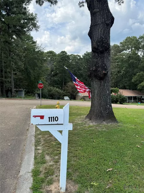 1110 Bryan St, Minden, LA 71055
