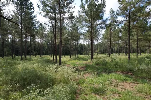 tbd County Road 374, Gladewater, TX 75647