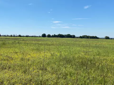 tbd Cr 296, Carbon, TX 76435