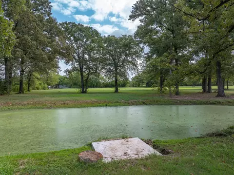 tbd Walnut St, Yantis, TX 75497 photo 15