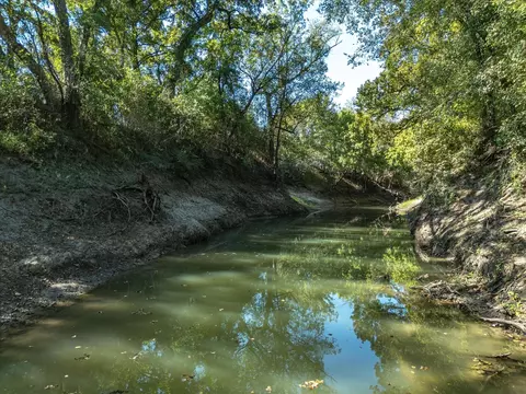 175 95 Ac Fm 55, Purdon, TX 76639